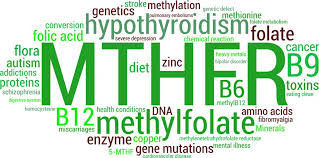 Do Your Vitamins Contain Folate or Folic Acid? And Why Does it Matter?