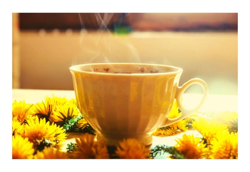 Dandelions: Weed, Flower, Herb or…Coffee Alternative?